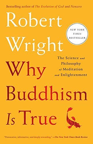 Cover of Why Buddhism Is True by Robert Wright